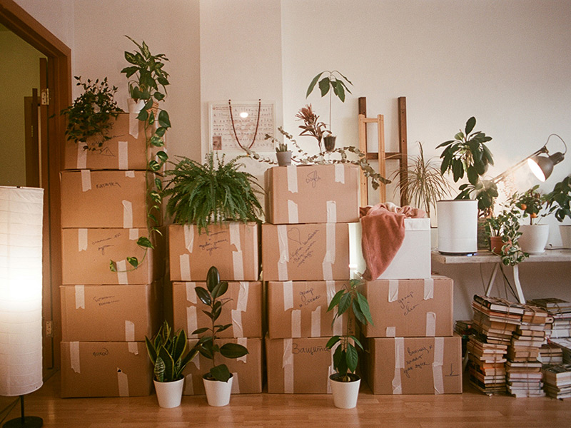 Sorted! (SA) | Our Services: Home Moves - Professional Organizer, Antique/ Second-Hand Shop - The Crags, Greater Plettenberg Bay